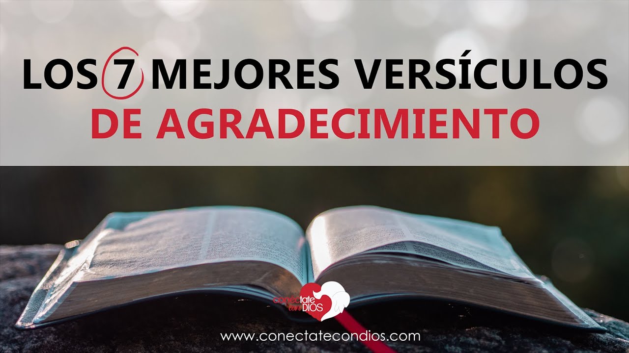 textos biblicos de agradecimiento